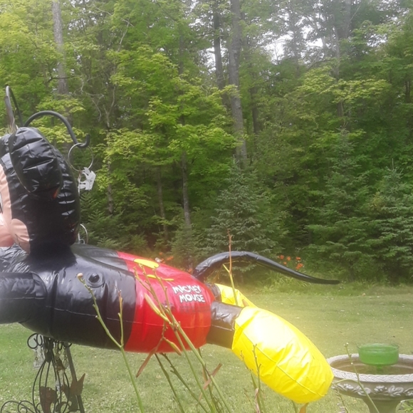 Mickey Mouse VINTAGE Pool Rider 1983 the Wet Set Inflatable Pool Toy - Picture 4 of 16